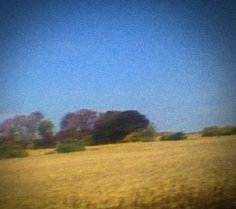 The Unfiltered Stories of Sun Kil Moon’s ‘Benji’