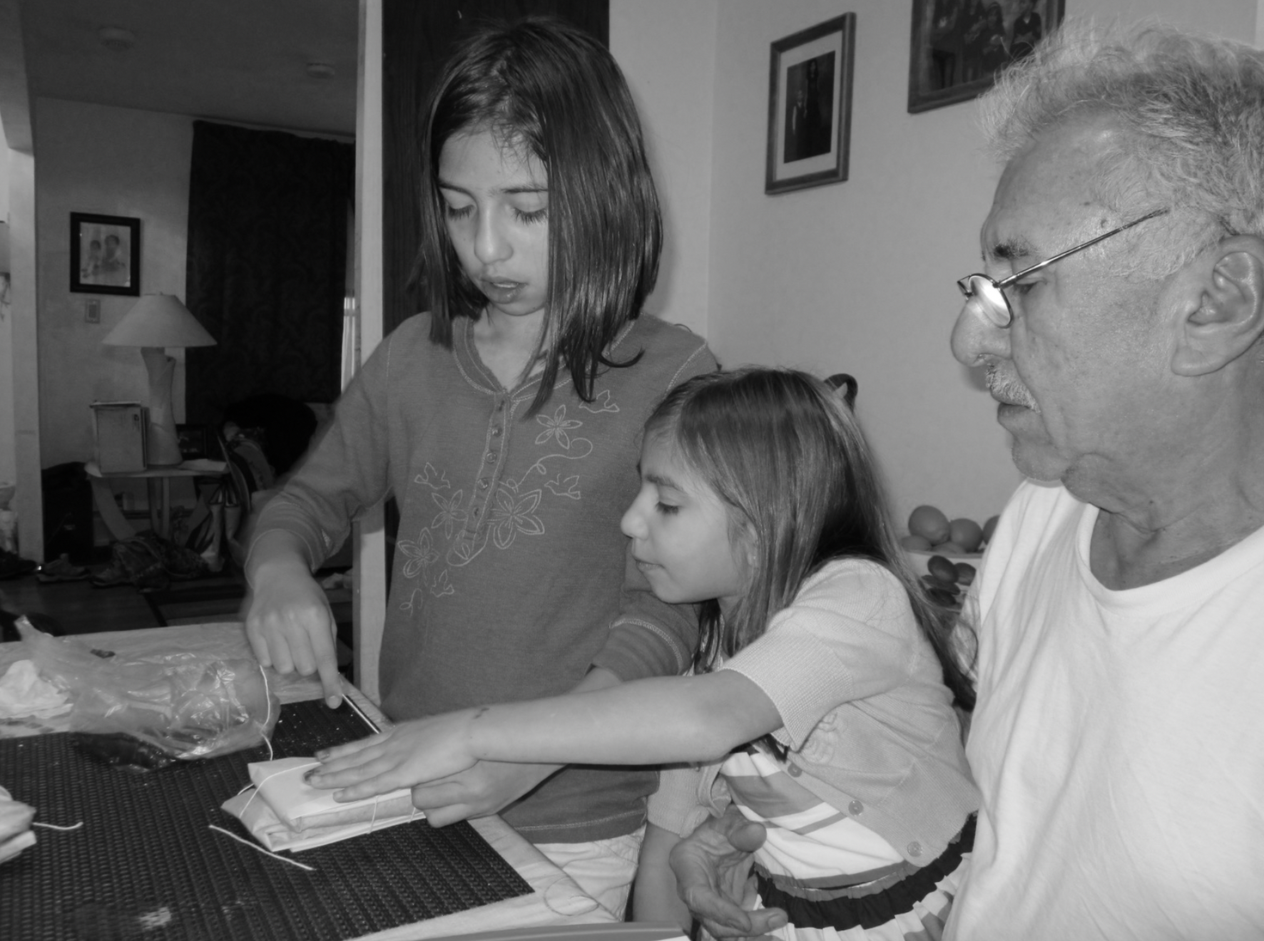 American Daughters In Immigrant Households